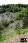 Tongrube Reichenschwand bei Lauf a.d. Pegnitz, Mittelfranken, Bayern, (D) (3) 14. Mai 2015.JPG